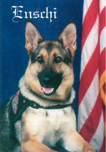 k9enschi