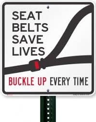 seatbelt