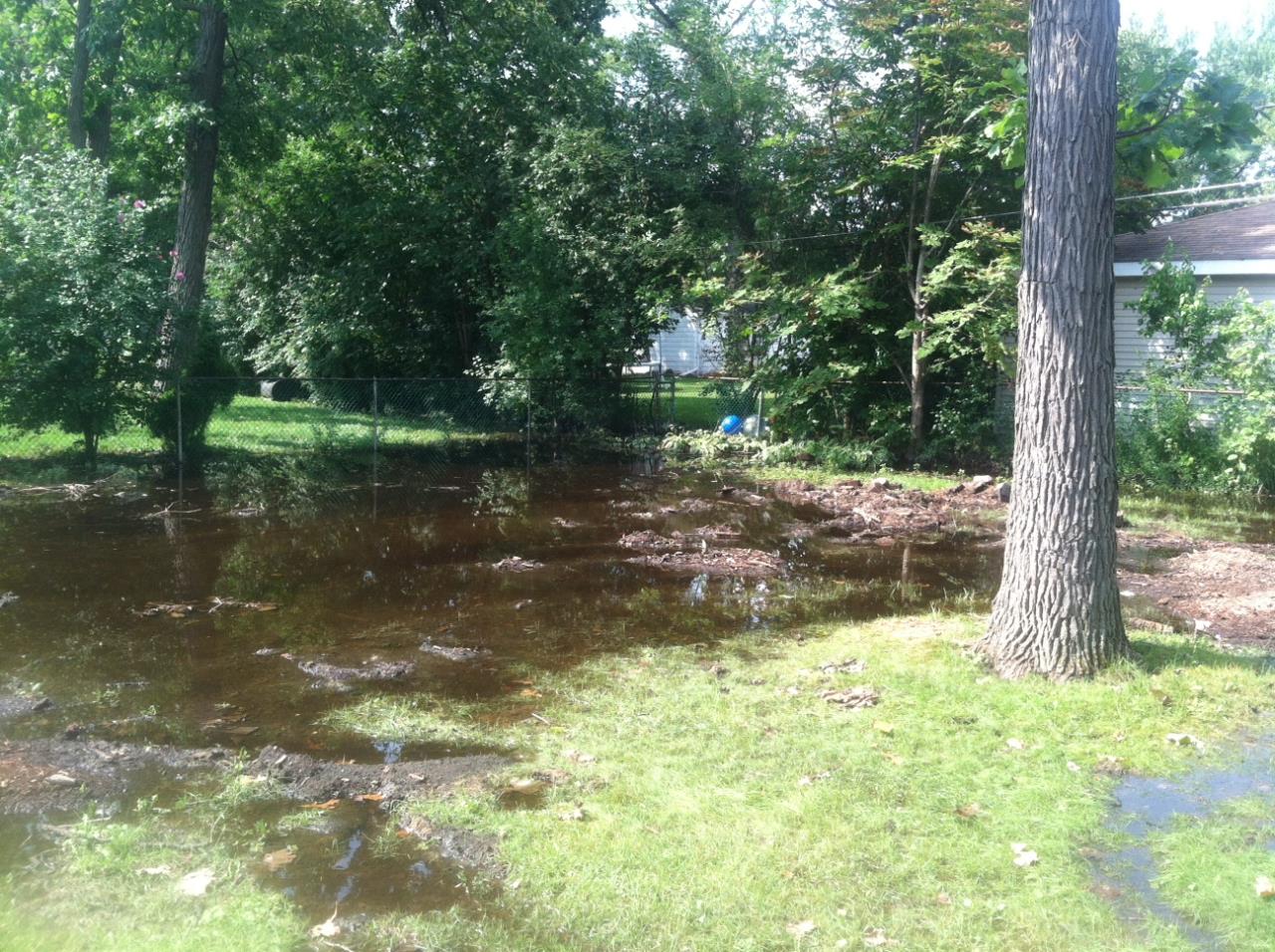 Rear yard standing water